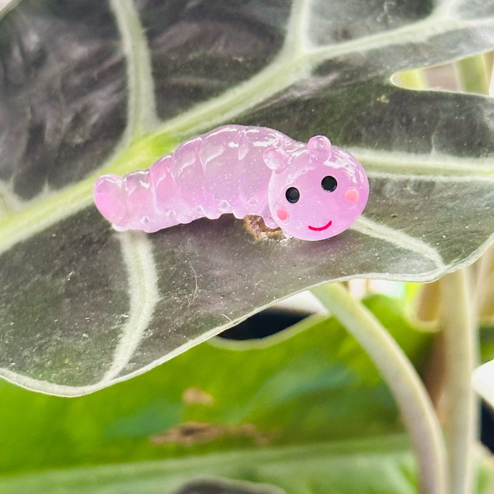 - 🍃20 pack plant magnets🍃